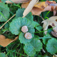 Load image into Gallery viewer, Raw Stone Studs