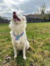 Load image into Gallery viewer, Custom Pet Tag