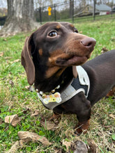 Load image into Gallery viewer, Custom Pet Tag