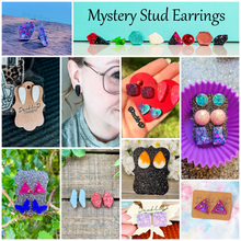 Load image into Gallery viewer, Mystery Earrings