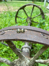 Load image into Gallery viewer, Stardust