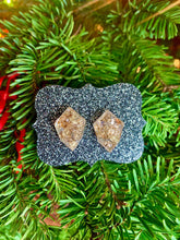 Load image into Gallery viewer, Mystery Earrings