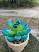 Load image into Gallery viewer, Raw Stone Studs