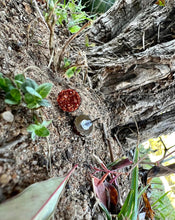 Load image into Gallery viewer, Apple Butter