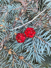 Load image into Gallery viewer, Merry