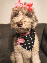 Load image into Gallery viewer, Custom Pet Tag