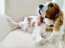 Load image into Gallery viewer, Custom Pet Tag