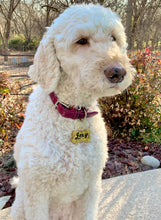 Load image into Gallery viewer, Custom Pet Tag