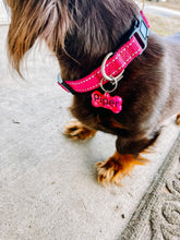 Load image into Gallery viewer, Custom Pet Tag