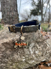 Load image into Gallery viewer, Custom Pet Tag