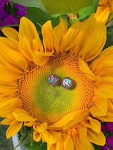 Load image into Gallery viewer, Boysenberry
